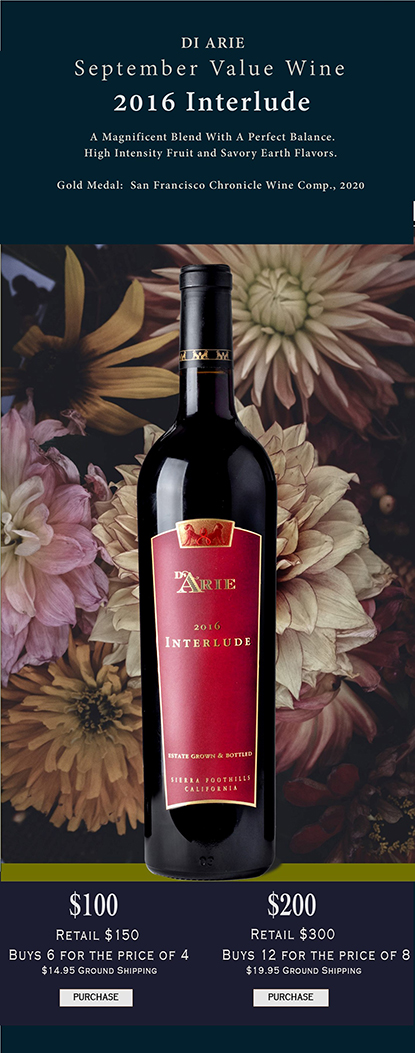 September 2020 value wines  12 bottle set  c g di arie vineyard September 2020 value wines  12 bottle set  c g di arie vineyard